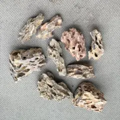 ADA 黄虎石 気孔石 松皮石 親石 良型 その他 セット ADA 黄虎石 気孔石 松皮石 親石 良型 その他 セット - メルカリ