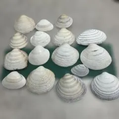 Item thumbnail for item e44fefc4-f69c-417b-b9e7-250d52052cbc