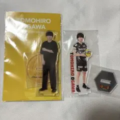 小川智大　アクスタ Amazon.co.jp: ウルフドッグス名古屋 #24 小川智大選手 スーツアクスタ