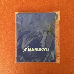 Item thumbnail for item a24450da-7ef7-4de6-b520-3578f8de5c4e