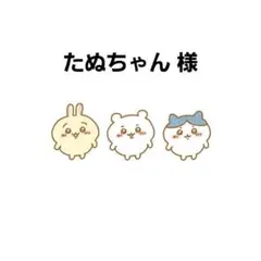 たぬちゃん様 専用ページ