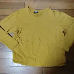 Item thumbnail for item 5c6493b2-90be-4042-848e-f620e4a0462b