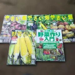 Item thumbnail for item 53ec19eb-5884-4e97-807d-6f21bcf7c99b