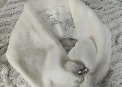 après jour ホワイト　ストール　ボレロ　ショール　お呼ばれ　結婚式