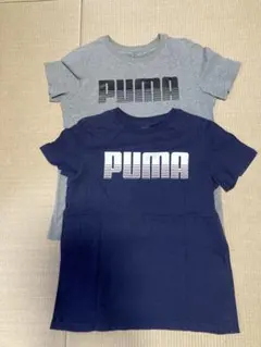 キッズ　Tシャツ　プーマ　160㎝　2枚セット