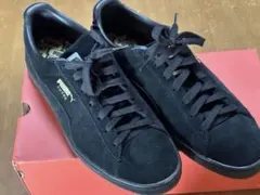 Item thumbnail for item 440f36b5-466b-41fb-b6ea-bf17d8d36c03