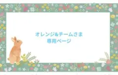 オレンジ&チームさま専用ページ♪