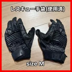 Item thumbnail for item f1f0227f-3898-4ee3-9f0d-75cb6ec4b17b