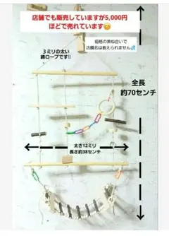 Item thumbnail for item 43a8e26c-2dfd-4897-bc92-9b10f3e2c4c7