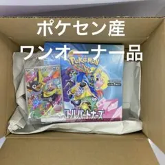 ポケモンカード　バトルパートナーズ　BOX シュリンク付き　プロモカード