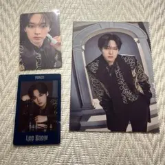 リノ トレカ類 シーグリ FORCE スキズ