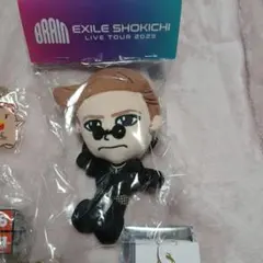 SHOKICHI BRAIN　ぬいぐるみキーホルダー　おまけ付き 2026年最新】SHOKICHI brainの人気アイテム - メルカリ