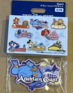 東京ディズニーリゾート デコレーションマグネット アラビアンコースト　ジーニー