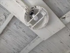 【K2様専用】昭和レトロ 電球カバー