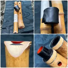 Item thumbnail for item d1fd493e-452d-4f7b-9d5d-3b559308f047