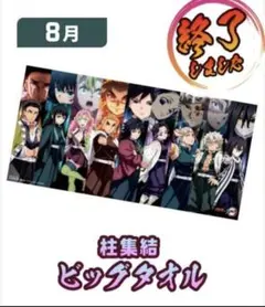 鬼滅の刃　柱集結ビッグタオル