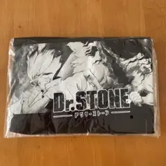 Dr.STONE Tシャツ　フリーサイズ　アミューズメント限定