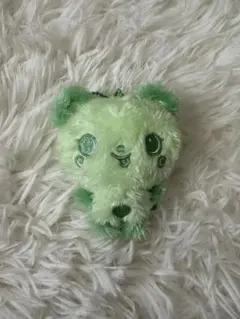 NCTWISH COLOR WISH DOLL サクヤ パン 緑 グリーン