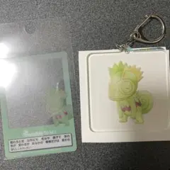Invisible to me カクレオン　セット