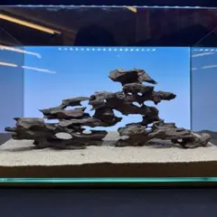 2026年最新】マシンガンウッドの人気アイテム - メルカリ