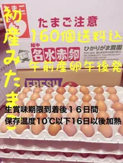蔵王鶏園の業務用卵Lサイズ / 80個 - メルカリ
