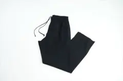AURALEE Wool Recycle Polyester Pants