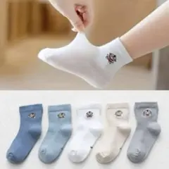 ENDO SOCKS春夏タイプのヒーローデザインの可愛い子供靴下5足セット