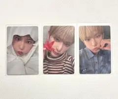 &TEAM HARUA 十五夜 トレカ セット