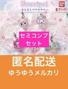 ジュエルペット　めじるしアクセサリー　オーロラver　セミコンプ　4個セット g