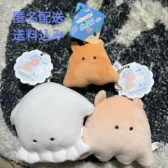 つぶらな瞳の水族館 どきどきめいと ぬいぐるみマスコット 3種のサムネイル