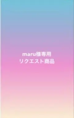 maru様 リクエスト 2点 まとめ商品
