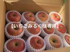 高徳りんご【いちごみるく様専用】