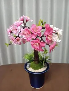 折り鶴盆栽(河津桜盆栽)No.51 - メルカリ
