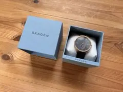 試着のみ 保管品SKAGEN スカーゲン 腕時計 正規品 SKW6213のサムネイル