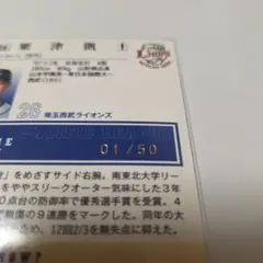 100枚限定シリアル 競馬 ホースレーシングカード フォーエバーヤング