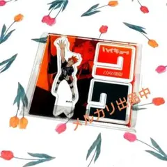 2025年最新】アクリルフィギュアコレクション ハイキュー 日向の