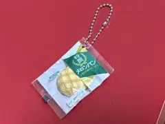 特選メロンパン⭐︎フジパンキーホルダー