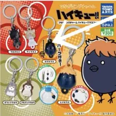 Item thumbnail for item 0303eb30-7f40-47c4-b592-ad2baa10313a