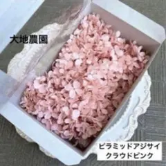 済 三色団子とわらび餅様 ご専用