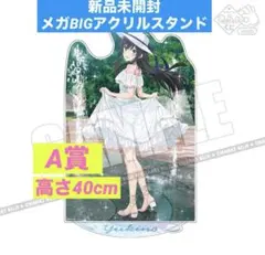 俺ガイル きゃらっとくじ A賞メガBIGアクリルスタンド【一色いろは