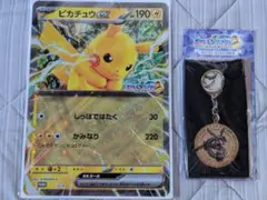 ポケモンメガスタンプラリー2025 スペシャルメダル 黒いレックウザ&ピカチュウ