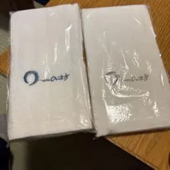 Item thumbnail for item 0420c24f-3f91-41f5-b1c6-b4697e54086f