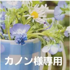 カノン様専用　野菜