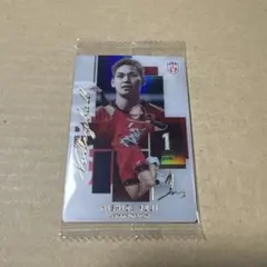 バレーボール男子日本代表ver. ツインウエハース2026 西田有志‼️