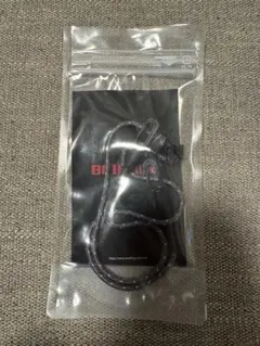 ブリーフィング