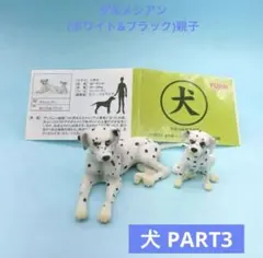 希少【ユージン】犬 part3 019 ダルメシアン(ホワイト&ブラック)親子のサムネイル