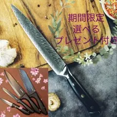 シェフナイフ 刃渡210mm VG10合金 木柄 ダマスカス鋼 - メルカリ