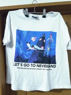 ZARA ディズニー ピーターパン Tシャツ S 美品