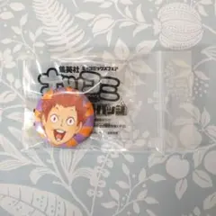 ハイキュー！！ ナツコミ 缶バッジ 天童覚 白鳥沢