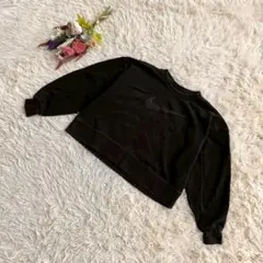 『NIKE』パイルロゴビッグスウォッシュスウェット　クロップド丈長袖トレーナー